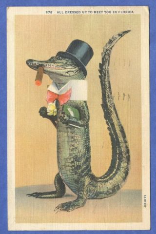 Humanized Alligator All Dressed Up To Meet You In Florida Linen Postcard 1936