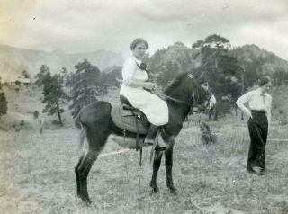 Aa68 Vtg Photo Young Woman Riding A Donkey C Early 1900 