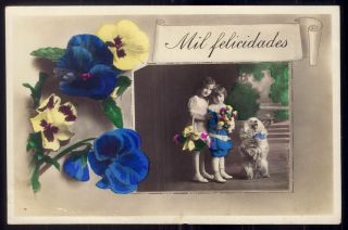 Old Photo Postcard: Edwardian Child With Dog On Circus Pose Cocker Spaniel ?