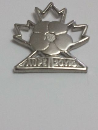 Aupe Union 20 Years Alberta Union Of Public Employees Lapel Hat Pin 364