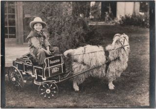 Vtg 1920s Snapshot Photo Cowboy Kid Sits In Goat Cart - Pasadena,  California 1927
