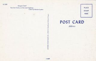 Sea Lion Caves Southern Oregon Coast Postcard 1950 ' s 2