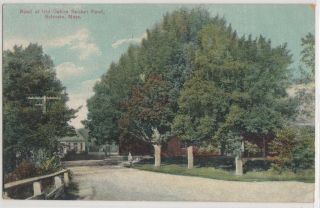 Road At Old Oaken Bucket Pond,  Scituate,  Ma,  Vintage Postcard