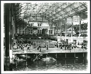 C.  1900 San Francisco Sutro Baths Pools,  Bathers & Spectators 8 " X10 " Photo Print