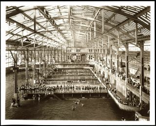 C.  1900 San Francisco Sutro Baths Bathhouse Bathers&spectators 8 " X10 " Photo Print