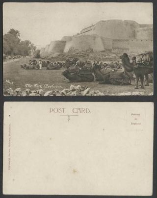 Pakistan Old Postcard The Fort Peshawar,  Camels Resting,  Camel Caravan,  Fortress