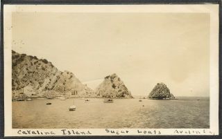 Early Vintage Small Photo Snapshot Catalina Island Sugar Loaf Avalon Bay Ca