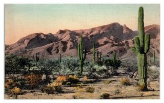 Sunset Trail,  Catalina Mountains,  Tucson,  Az Hand - Colored Postcard 5n32