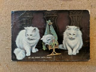 Cat Vintage Postcard.  2 Cats And And Kitten.  Raphael Tuck.  British.