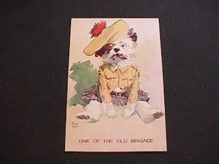 Raphael Tuck & Sons Signed Frank Hart One Of The Old Brigade Dog Postcard