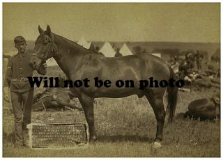 Old West Cowboy Vintage Antique Western Horse Photographs Photo Picture 8x10 54