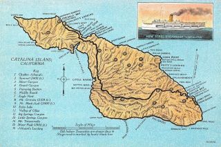 Catalina Island,  Ca Map,  Steel Steamship Ca 1930s Vintage Postcard