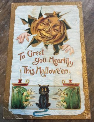 Vintage Halloween Postcard Black Cat Pumpkin Head Melon Head Jack - O’ - Lantern Jol