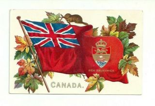 Canada Flag,  Brunswick Coat Of Arms Vintage Postcard