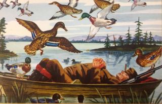 " What A Life " Duck Hunter Sleeping In Boat Comic Art 1953 Vintage Postcard
