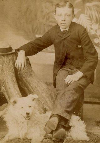 Cdv Photo Of A Young Man With His White Dog