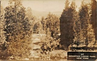 Mountain Lodge Park - Orange Cy Ny View To Mountains - Real Photo 1920s Postcard