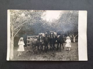 Rppc Children W/ Ponies Horses Girls In Dresses Early 1900 