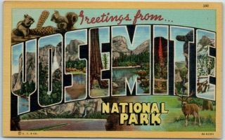 1940s Yosemite National Park Large Letter Postcard Curteich Linen