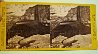 20.  Mammoth Cave,  19,  Kentucky,  Reg.  Format,  Waldack