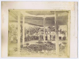Victorian Colonial Gentlemen & Lady In The Garden Antique Albumen Photo C1890