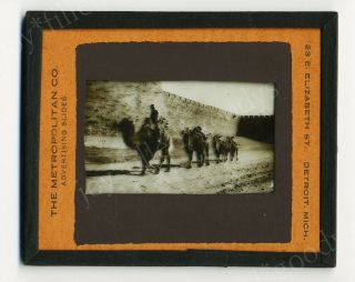 CAMELS AT PEKING CITY WALL 1910s GLASS SLIDE PHOTO 2