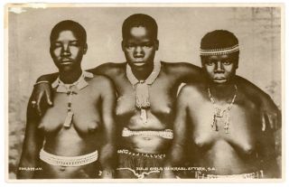 Rppc - Bare Breasted Zulu Girls In Kraal Attire,  South Africa