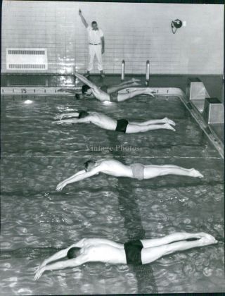 Members Swimming Team St Louis Park Boys Diving Sports Pool Water Photo 8x10