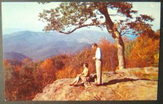 Vintage Virginia Postcard Scenery Of Skyline Drive Shenandoah National Park Va