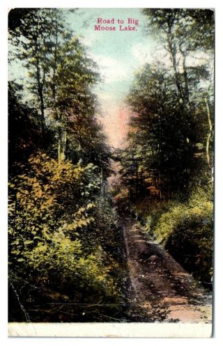 1911 Road To Big Moose Lake,  Adirondacks,  Ny Postcard 5n13
