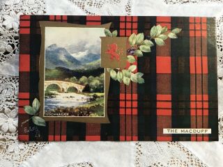 Antique Postcard The Macduff Scottish Clans Series Tartan & Crest,  C1900s Tucks