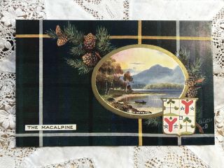Antique Postcard The Macalpine Scottish Clans Series Tartan & Crest,  1908 Tucks