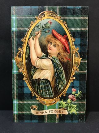 Antique Scottish Postcard Dinna Forget Girl With Thistle Flower,  Embossed,  C1910