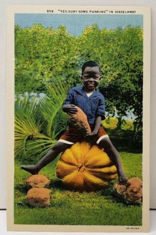 Black Americana " Yes - Suh Some Punkins " In Dixieland Linen Postcard E13