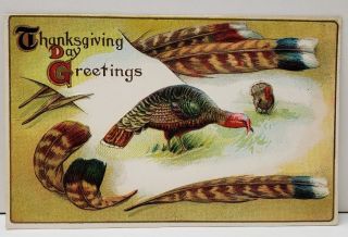 Thanksgiving Greeting Embossed Turkey And Feathers Postcard B14