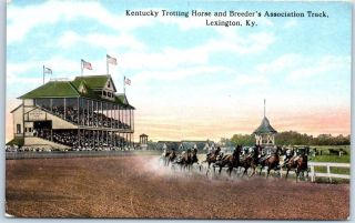 Lexington Ky Postcard Trotting Horse Breeder 