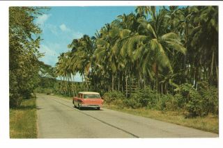 Vintage Postcard Republic Of Panama Interamerican Highway