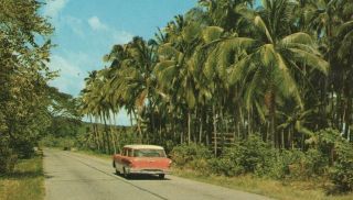 Vintage Postcard Republic of Panama Interamerican Highway 3