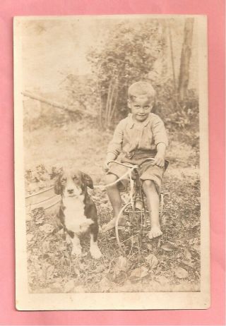 Vintage Rppc Boy On Old Tricycle With Dog