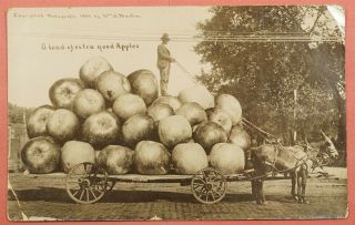Dr Who 1911 Exaggeration Postcard Wagon Of Giant Apples Savannah Mo 32571
