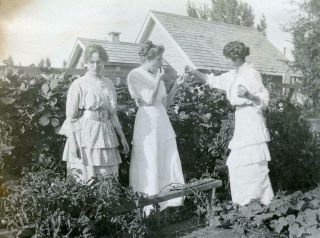 Ac624 Vtg Photo Three Women In Garden,  Berry Tasting C Early 1900 