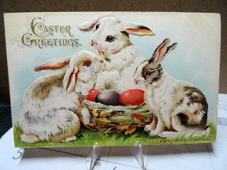 1909 Postcard Easter Greetings 3 White Bunny Rabbits & Colored Eggs Robbins Card