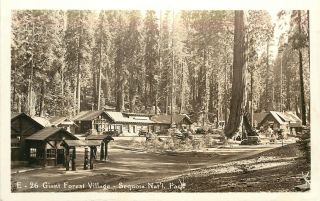 1930s Rppc E - 26 Giant Forest Village Sequoia National Park Ca Glass Gas Pumps