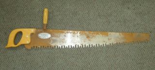 Vintage One Man Curtis Crosscut Saw With Helper Handle 36 " Blade,  41.  5 " Overall