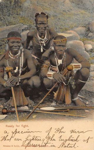 " Ready For Fight " Natal Warriors - Vintage Military Early 1900 