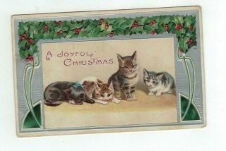Antique 1908 Embossed 4 Cats Kittens Christmas Post Card Silver Foil Holly Ivy