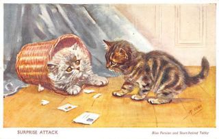 Blue Persian Short Haired Tabby Kitten Cat Playful Scene Antique Postcard K56060