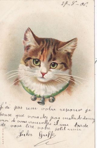 Dorothy Travers Pope Tabby Cat With Green Bell Collar - Misch & Co