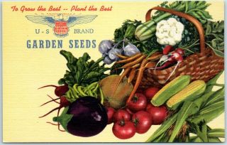 Vintage Wwii 1940s Advertising Postcard U.  S.  Brand Garden Seeds Curteich Linen