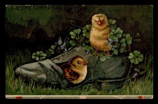 Dr Who 1908 Roll Nd Easter Greetings Chicks In Shoe Postcard C102884